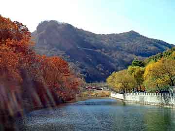 新澳门正版免费大全，乡村小子闯都市